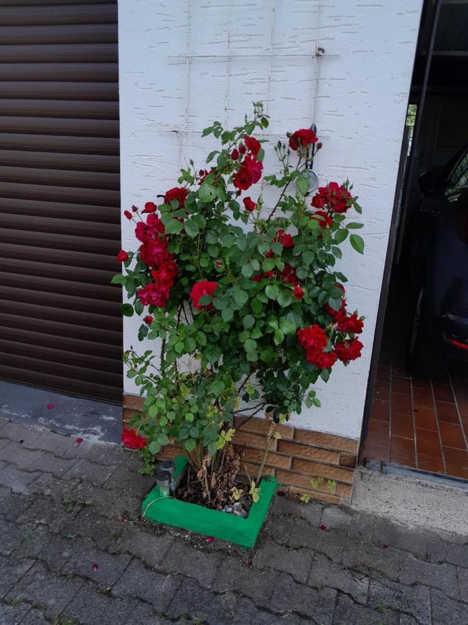 Casa Natur 梅德巴赫 外观 照片