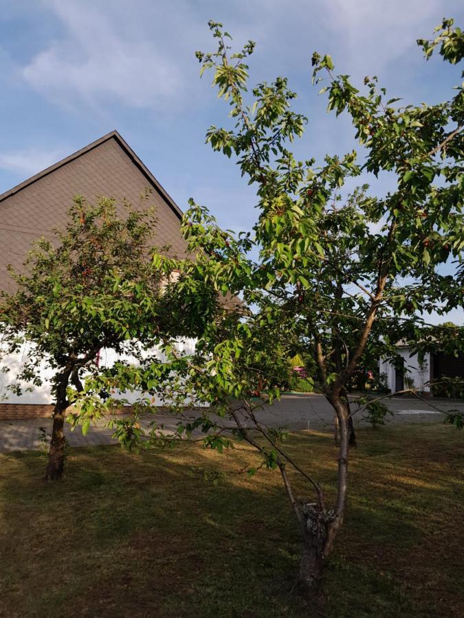Casa Natur 梅德巴赫 外观 照片
